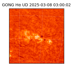 gong - 2025-03-08T03:00:02