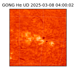 gong - 2025-03-08T04:00:02