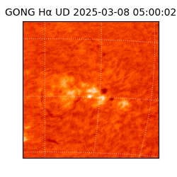 gong - 2025-03-08T05:00:02