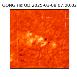 gong - 2025-03-08T07:00:02