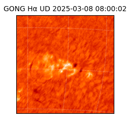 gong - 2025-03-08T08:00:02