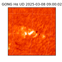 gong - 2025-03-08T09:00:02