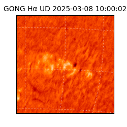 gong - 2025-03-08T10:00:02