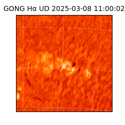 gong - 2025-03-08T11:00:02