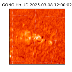 gong - 2025-03-08T12:00:02