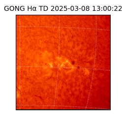 gong - 2025-03-08T13:00:22