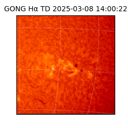 gong - 2025-03-08T14:00:22