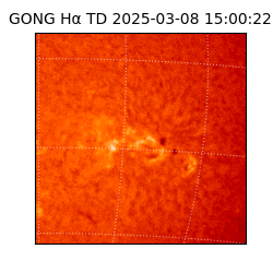 gong - 2025-03-08T15:00:22