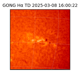 gong - 2025-03-08T16:00:22