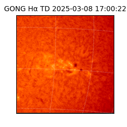 gong - 2025-03-08T17:00:22
