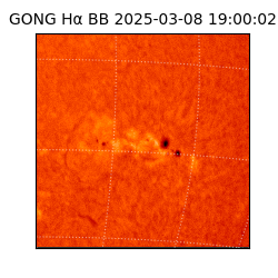 gong - 2025-03-08T19:00:02