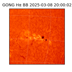 gong - 2025-03-08T20:00:02