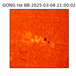 gong - 2025-03-08T21:00:02