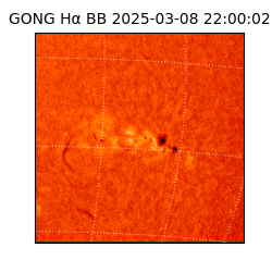 gong - 2025-03-08T22:00:02