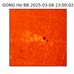 gong - 2025-03-08T23:00:02