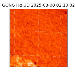 gong - 2025-03-08T02:10:02