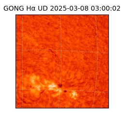 gong - 2025-03-08T03:00:02