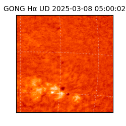 gong - 2025-03-08T05:00:02