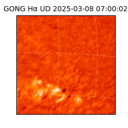 gong - 2025-03-08T07:00:02