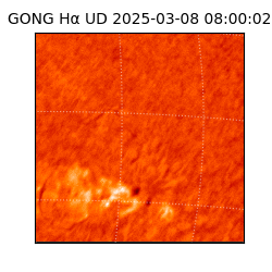 gong - 2025-03-08T08:00:02