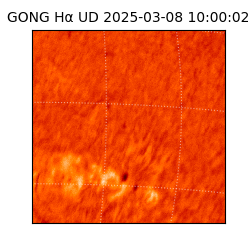 gong - 2025-03-08T10:00:02