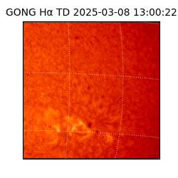 gong - 2025-03-08T13:00:22