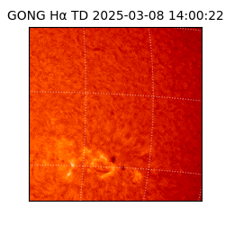 gong - 2025-03-08T14:00:22