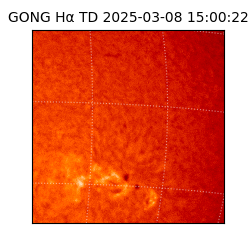 gong - 2025-03-08T15:00:22