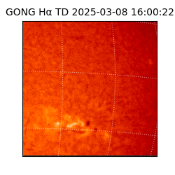 gong - 2025-03-08T16:00:22