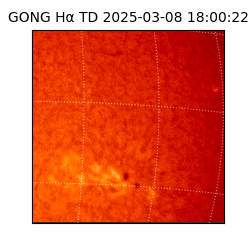 gong - 2025-03-08T18:00:22