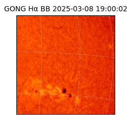 gong - 2025-03-08T19:00:02