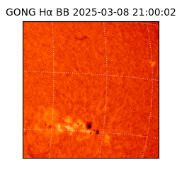 gong - 2025-03-08T21:00:02