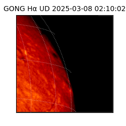 gong - 2025-03-08T02:10:02
