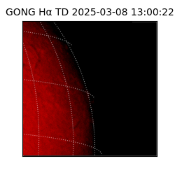 gong - 2025-03-08T13:00:22