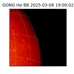 gong - 2025-03-08T19:00:02