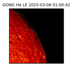 gong - 2025-03-08T01:00:42