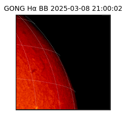 gong - 2025-03-08T21:00:02