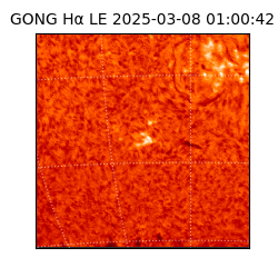 gong - 2025-03-08T01:00:42