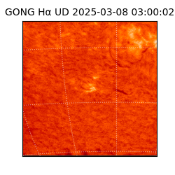 gong - 2025-03-08T03:00:02