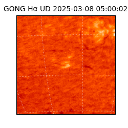 gong - 2025-03-08T05:00:02