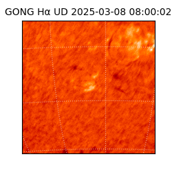 gong - 2025-03-08T08:00:02