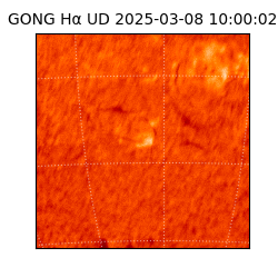 gong - 2025-03-08T10:00:02