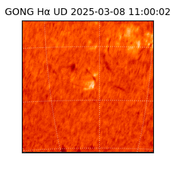 gong - 2025-03-08T11:00:02