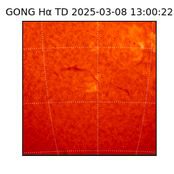 gong - 2025-03-08T13:00:22