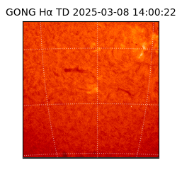 gong - 2025-03-08T14:00:22