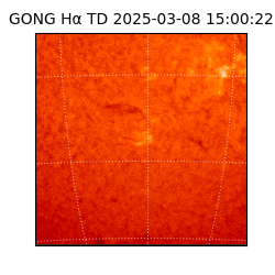 gong - 2025-03-08T15:00:22