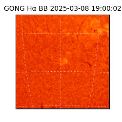 gong - 2025-03-08T19:00:02