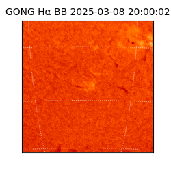 gong - 2025-03-08T20:00:02