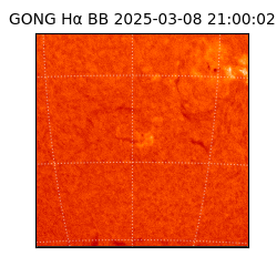 gong - 2025-03-08T21:00:02