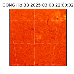 gong - 2025-03-08T22:00:02